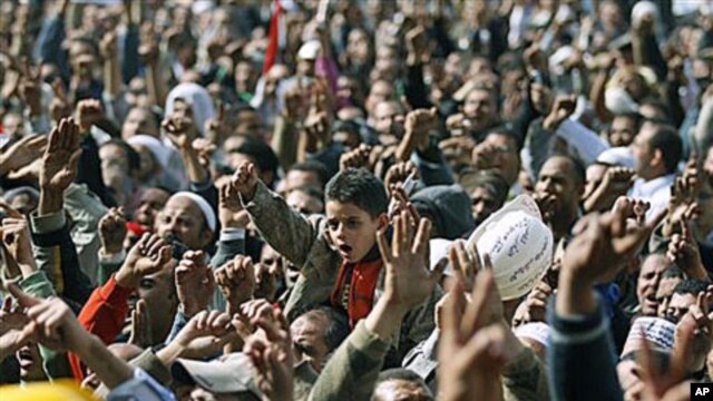 Anti-government protesters react in Tahrir Square, Cairo, Egypt, February 4, 2011