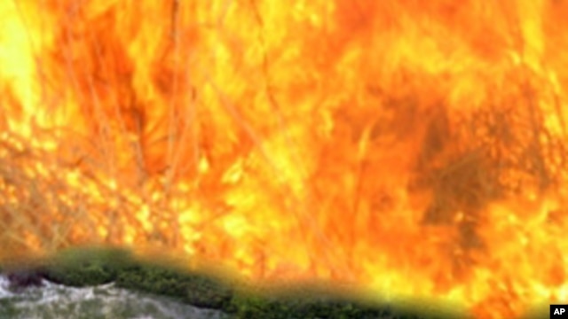 Unaltered agricultural raised fields in French Guyana that remain much as ancient Amazon farmers left them. The simulated background flames represent the European slash-and-burn agriculture that came afterward. 