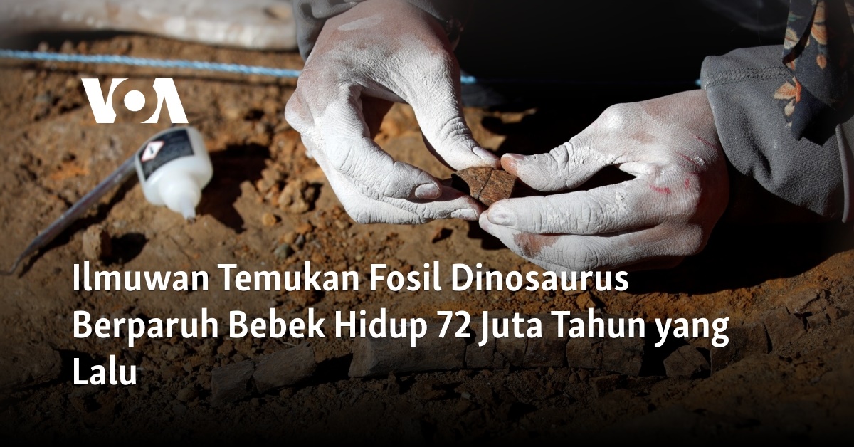 Ilmuwan Temukan Fosil Dinosaurus Berparuh Bebek Hidup Juta Tahun Silam