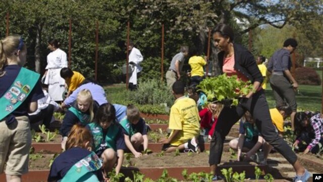 First lady Michelle Obama carries mustard plants for planting as she is joined by school children from across the country for the fourth annual White House Kitchen Garden spring planting, Monday, March 26,2012, at the White House.
