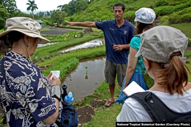 Kawika Winter gives a tour of the garden to a group of environmental journalists.