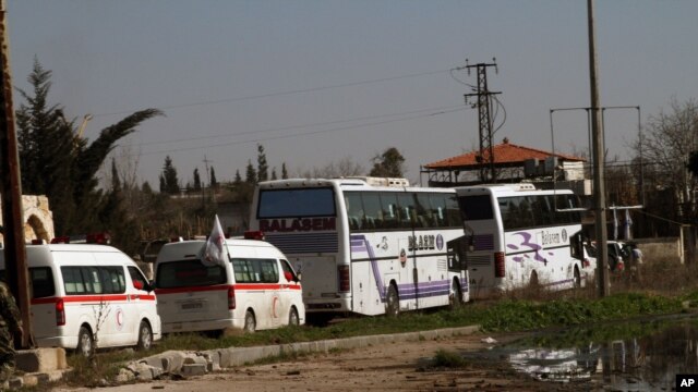 Một số người Syria trên 2 chiếc xe buýt được di tản khỏi chiến trường ở thành phố Homs, Syria, 7/2/2014