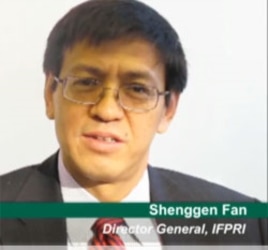 Shenggen Fen, IFPRI Director General