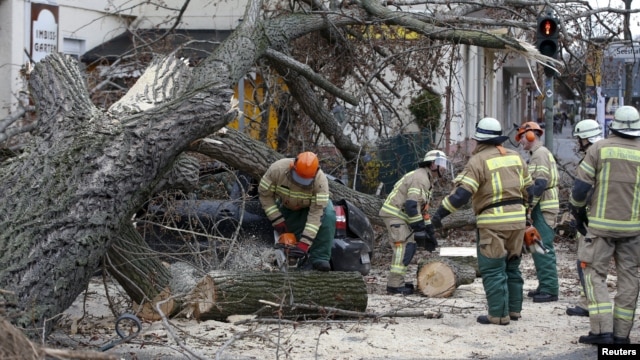 Firefighters remove parts of a tree from a street at Wedding district as Storm Niklas strikes in Berlin, Germany, March 31, 2015.