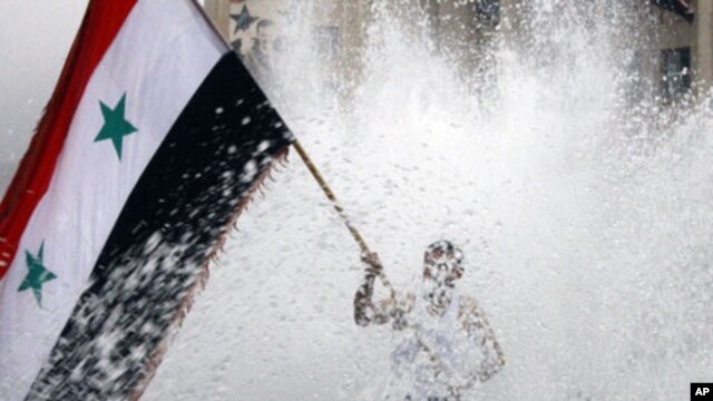 A pro-Syrian regime protester, waves a Syrian flag from a fountain during a demonstration in Damascus, Syria, November 16, 2011.