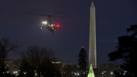 Obama National Christmas Tree