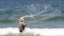 A Palestinian fisherman casts his net at a beach in Gaza City. Israel permits Gaza fishermen to head out to sea from 3 miles to 6 miles, restoring a limit it cut in half two months ago in response to rocket fire from the Palestinian enclave.
