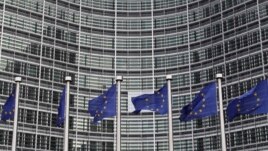 20 vjetori i Traktatit të Mastritit