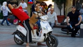 A man takes a break as he sits with his dog on a scooter in Istanbul, Turkey, June 19, 2013. 