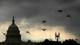 Birds fly past the U.S. Capitol as the sun rises in Washington, D.C.