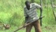 New Nation of Southern Sudan Seeks to Develop Agriculture