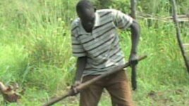 South Sudan's well-watered land "makes for some of best farming land in the world," an expert says. (AP)