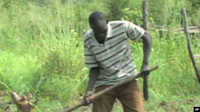Henry Ladu plants crops on land he farms south of Juba in southern Sudan.