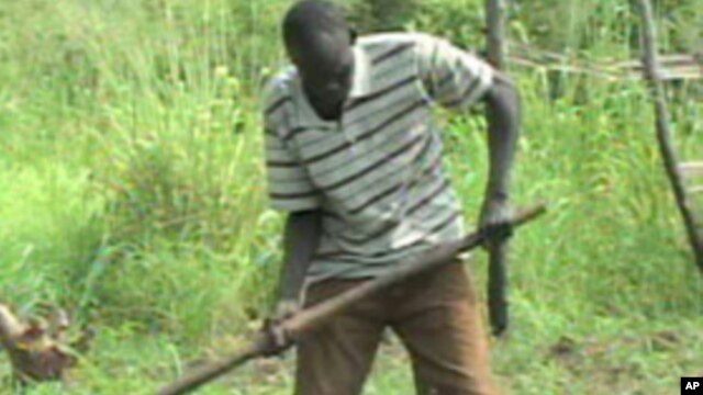 South Sudan's well-watered land "makes for some of best farming land in the world," an expert says. (AP)