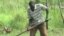 New Nation of Southern Sudan Seeks to Develop Agriculture