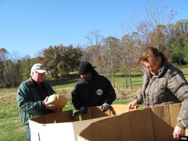 Carl and Carol Brady donate two tons of squash from their farm in Mitchellville, MD. (VOA/R. Skirble)