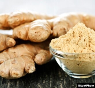 Ginger