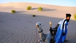 Moussa el Mouctar, an ethnic Tuareg from Timbuktu, with one of his camels, on the outskirts of Timbuktu, Mali, 2011-2012. (Douglas Post Park/Saharan Archaeological Research Association)