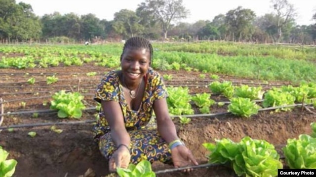 Electricity has made it possible for villagers in Benin to produce tons of food. (SELF)