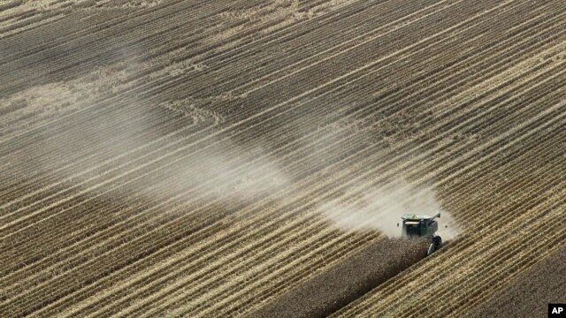 In this Aug. 16, 2012 file photo, dust is blown from behind a combine harvesting corn in a field near Coy, Ark. 