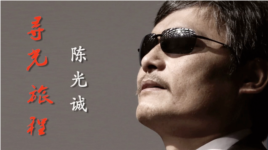 陈光诚的寻光旅程