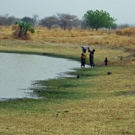 Residents draw and use water from a pond that also is used by their livestock and other animals, in Yola, Adamawa state, Nigeria, February 24, 2012.