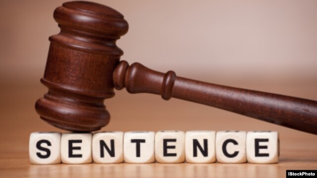 Gavel Resting on the Word Sentence