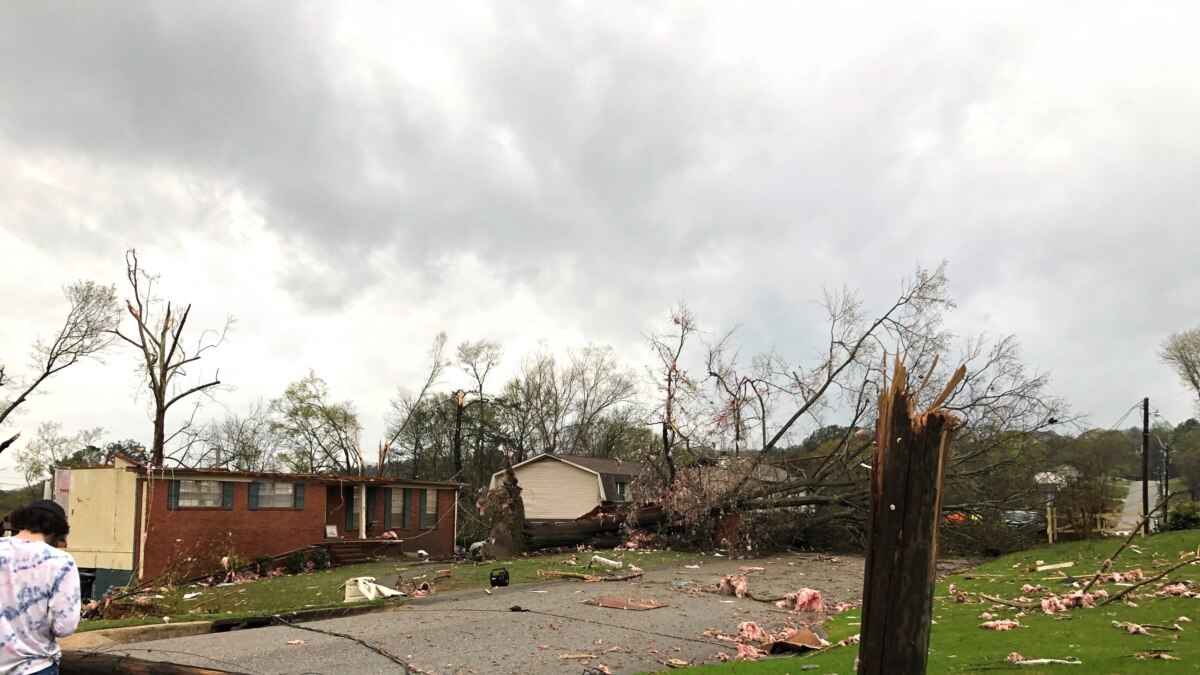 Tornados Dejan Al Menos Cinco Muertos En Alabama