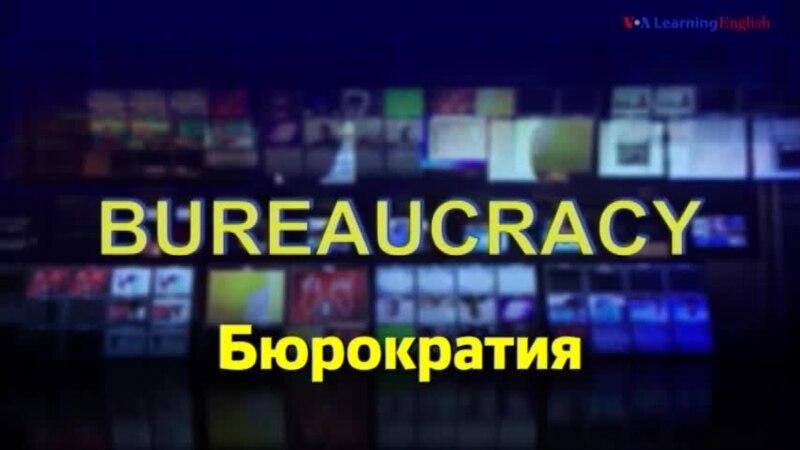      - Bureaucracy  