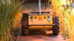 Xe robot theo dõi sức khỏe cây trồng nông nghiệp