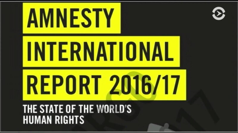   Amnesty International         2016/2017