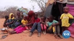 Kenyan Children’s Education Disrupted as Drought Forces Dropouts 
