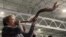 Laura Brown hace sonar su shofar en el segundo día del evento ReAwaken America Tour. 