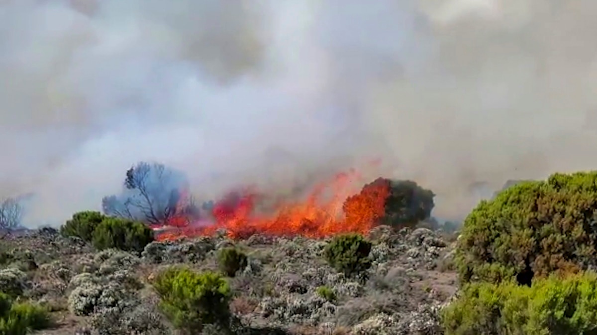 Tanzania Deploys Army to Fight Fire on Mount Kilimanjaro