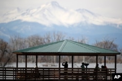 Pengamat burung berdiri di gazebo Barr Lake State Park di Brighton, Colorado, saat diberlakukannya perintah tinggal di rumah di seluruh negara bagian di AS untuk mengurangi penyebaran virus COVID-19, 29 Maret 2020. (AP/David Zalubowski)