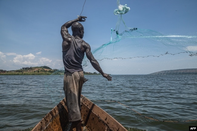 This photograph taken on October 7, 2022, shows Jowali Kitagenda, 40, casting his net to catch fish on River Nile in Jinja, southern Uganda. Photo by BADRU KATUMBA /AFP)