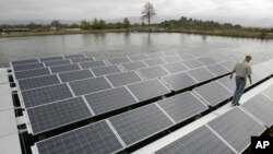 Man walks between floating solar panels on a pond, Oakville, California, photo