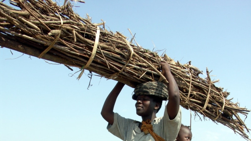 Malawi Deploys Military to Protect Its Fast-dwindling Forests Malawi Deploys Military to Protect Its Fast-dwindling Forests