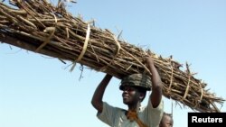FILE - A Malawian woman carries wood she has collected for fuel in Chikwawa district, 90 kilometers (55 miles) south of commercial capital Blantyre, Oct. 12, 2005. Aid officials are concerned over the growing impact of deforestation.