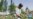 16x9 Image
