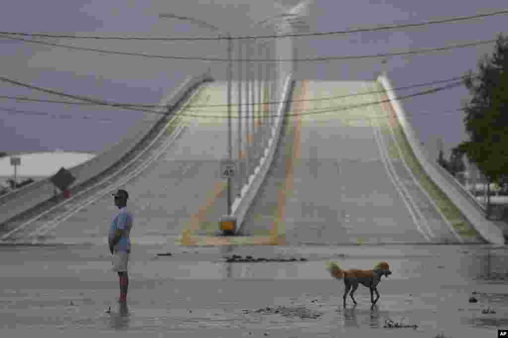 A resident and his dog walk on a flooded street following the passage of Hurricane Nicole in Vero Beach, Florida.