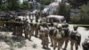 Vụ tấn công khách sạn ở Afghanistan kết thúc, 20 người chết