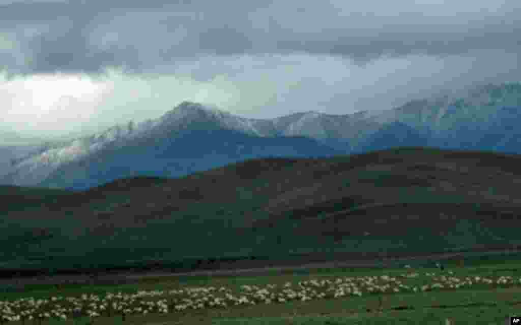 位于四川省阿坝藏族自治洲若尔盖县境内的四川若尔盖湿地自然保护区