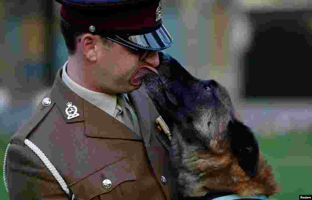 British Military Working Dog Mali poses for a photograph with his handler, Cpl. Daniel Hatley, after receiving the PDSA Dickin Medal, the animal equivalent of the Victoria Cross, for his heroic action in Afghanistan, in London.