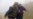 Chemical Weapons Experts in Syria Have Security Fears