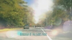 بي بي شیرینه – وي او اې ډيوه په ټیلې ویژن