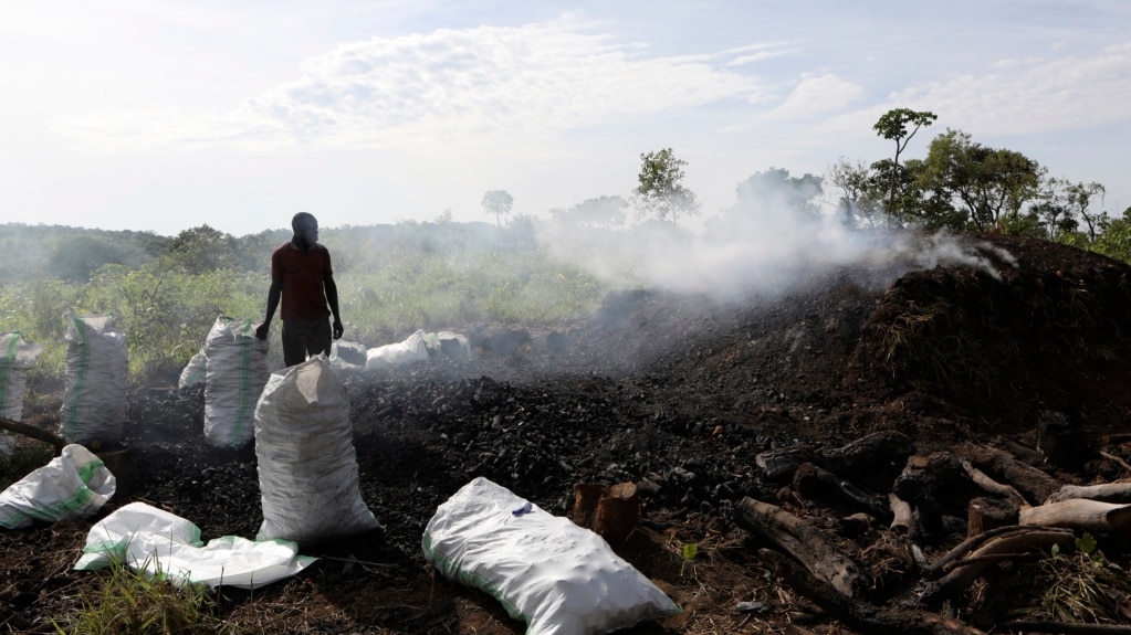 Uganda Charcoal Ban Puts Producers, Locals, Police in Conflict