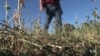 Climate Change Affects Coastal Communities and Beyond