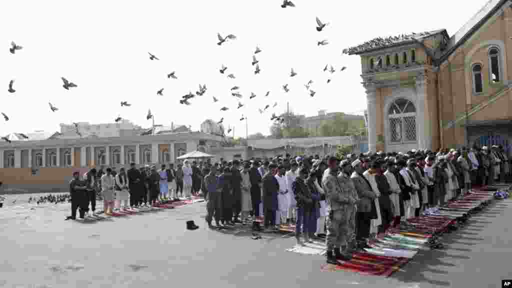 نمازگذاران روز جمعه در مسجد شاه دو شمشیره حین ادای نماز عید فطر 