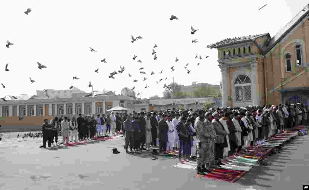 دا په کابل کې د شاه دوشمشیره جومات دی چې د جمعې په ورځ په کې د اختر لمونځ وشو 